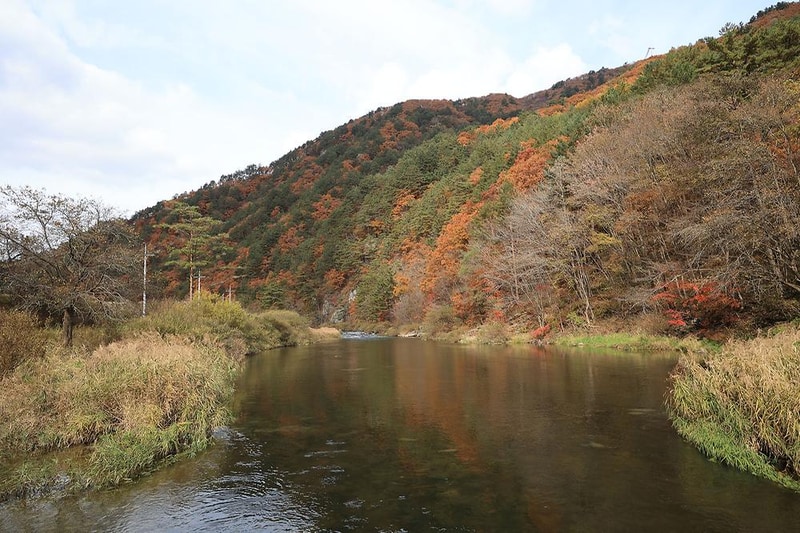 바람부리 별밤 캠핑장 시설 사진 2