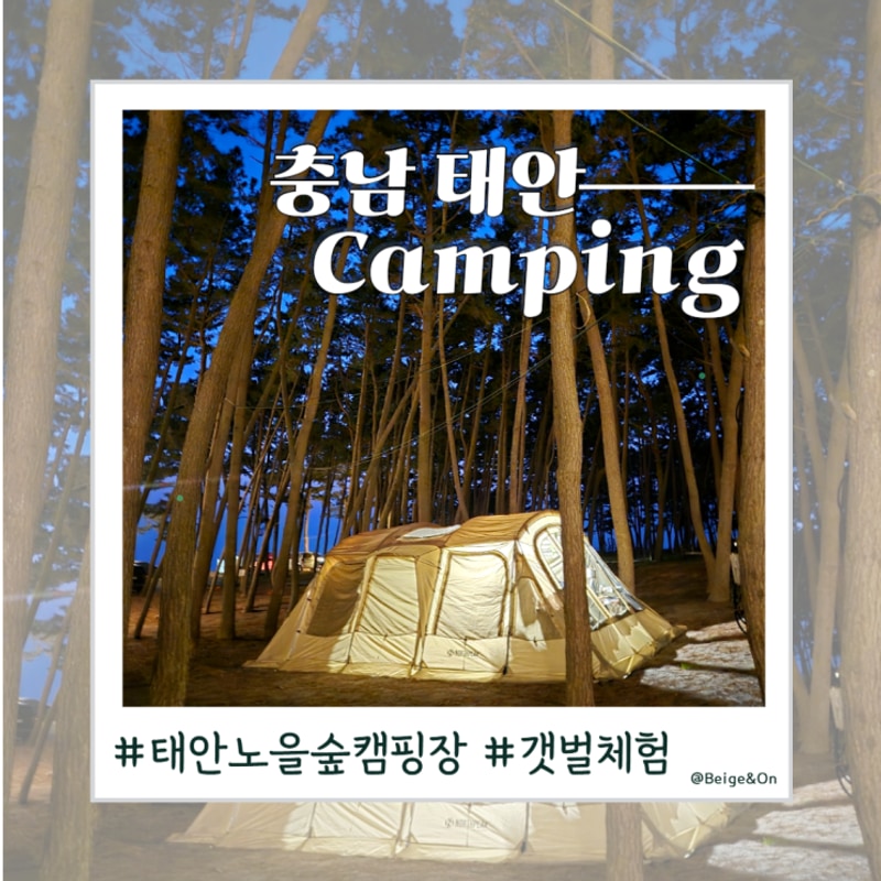 태안 노을숲캠핑장 - 6살,3살 아이랑 캠핑 두번째!...