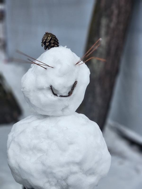 써니의 캠핑일기 - 강원도 영월 [숲속의아침캠핑장]
