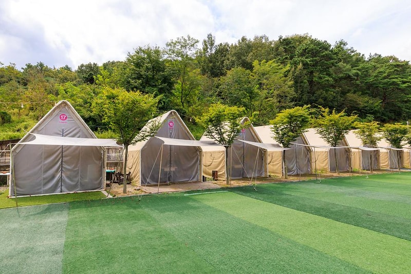 Little 80 시설 사진 11