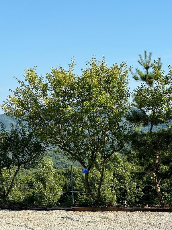 엘모로캠핑 시설 사진 10