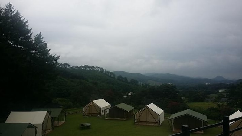 별밤 야영장 대표 사진