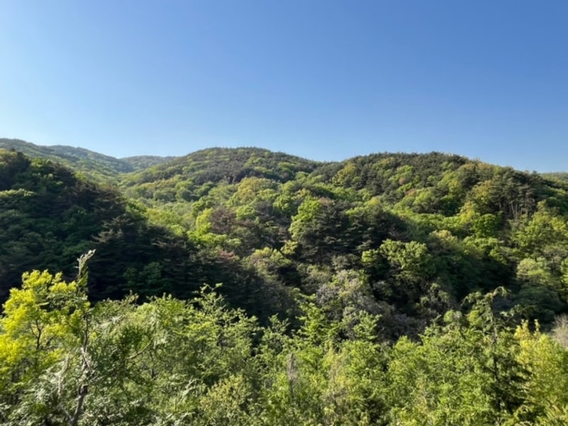 경주 불국사 근처 캠핑장 토함산 마이웨이 야영장