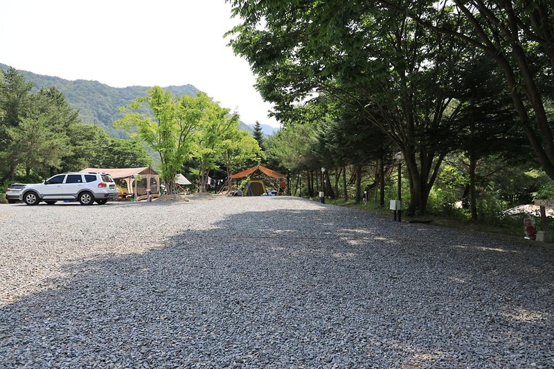 월드니스 시설 사진 12