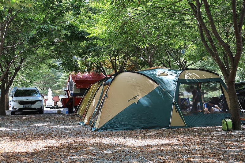 다 그린 시설 사진 3