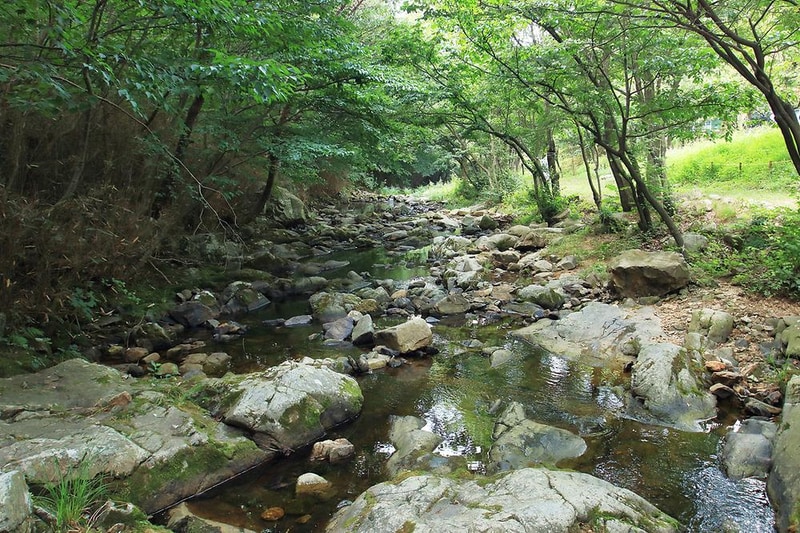 용현 자연휴양림 야영장 시설 사진 14