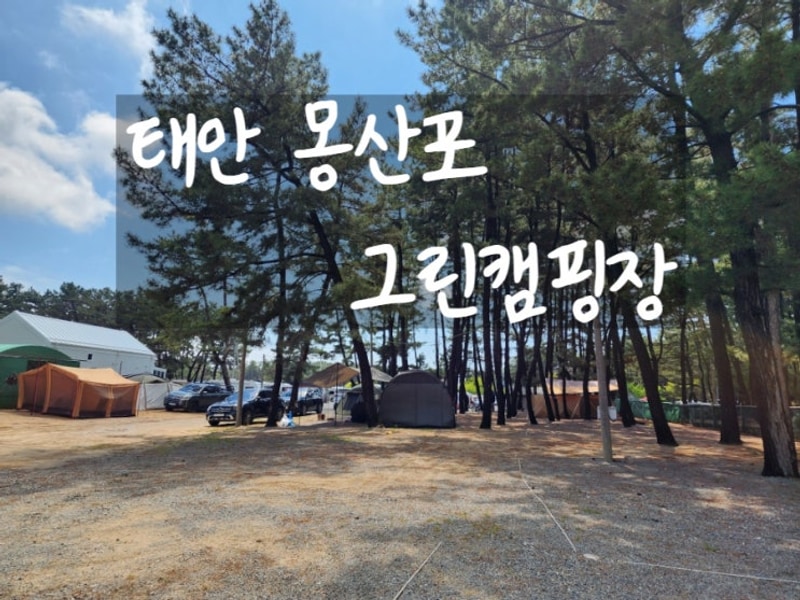 태안 몽산포 해수욕장 몽산포 그린캠핑장 캠핑카 캠핑 가족 여행