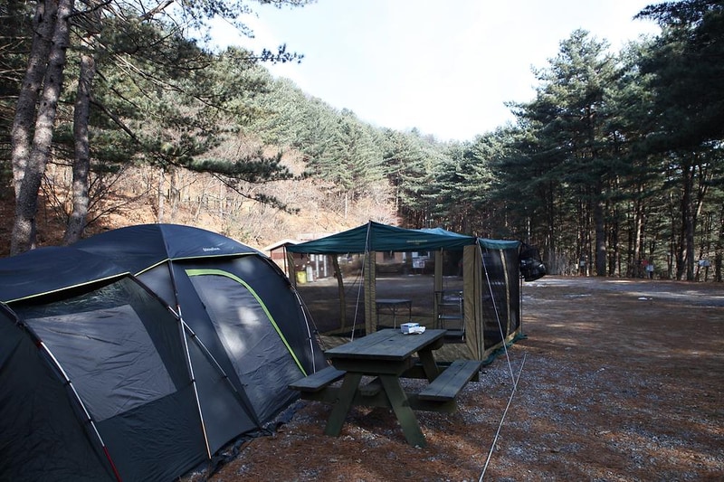 (주)수동자연마을 힐링별밤수목원캠핑장 시설 사진 5