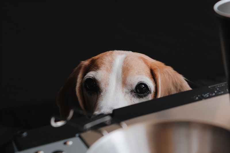 다섯 번째 캠핑(인제 스테이밸리 캠핑)