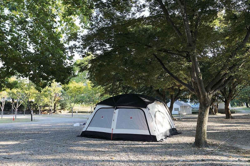 농협회사법인 봉좌마을 캠핑장 시설 사진 5