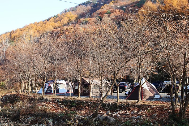 곤달비캠프 시설 사진 6