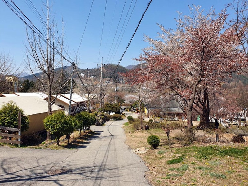 청평원레저타운 시설 사진 45