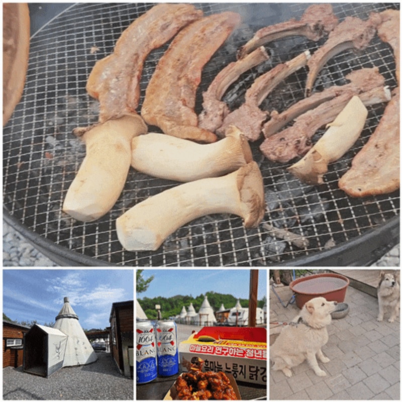 북단양리조트-숙소 추천! 독채 펜션+게르감성 글램핑, 물놀이...