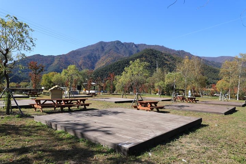 아우라지관광지 대표 사진