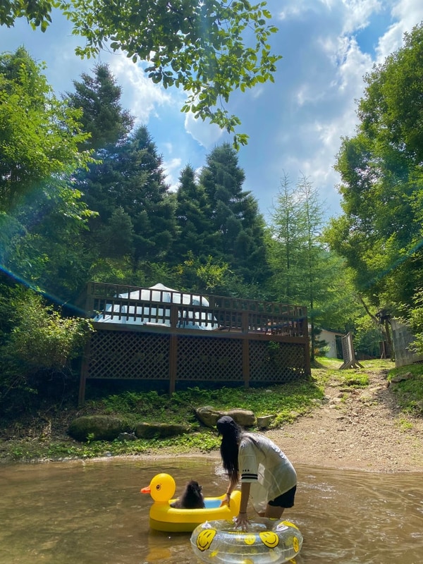 2025 강원도 원주 캄파슬로우 캠핑장 데크7 애견동반 캠핑장