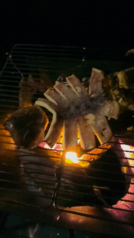 [전남 보성 숲정원 윤제림] 윤제림오토캠핑장 야영장, 3월의...