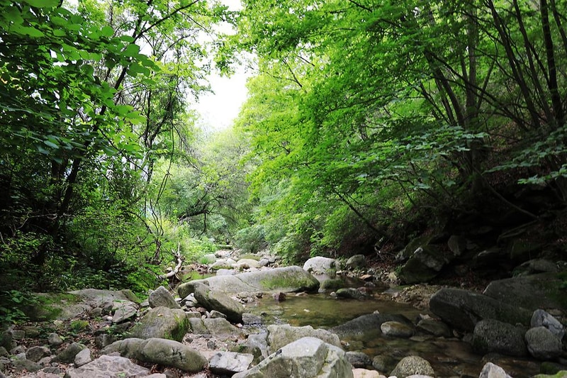 산중호걸 글램핑 시설 사진 18