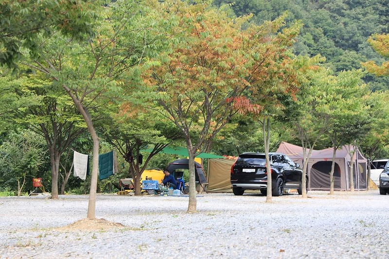 엄소리오토캠핑장 시설 사진 10