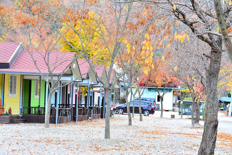 지지벨리 유명산 오토캠핑장 시설 사진 8