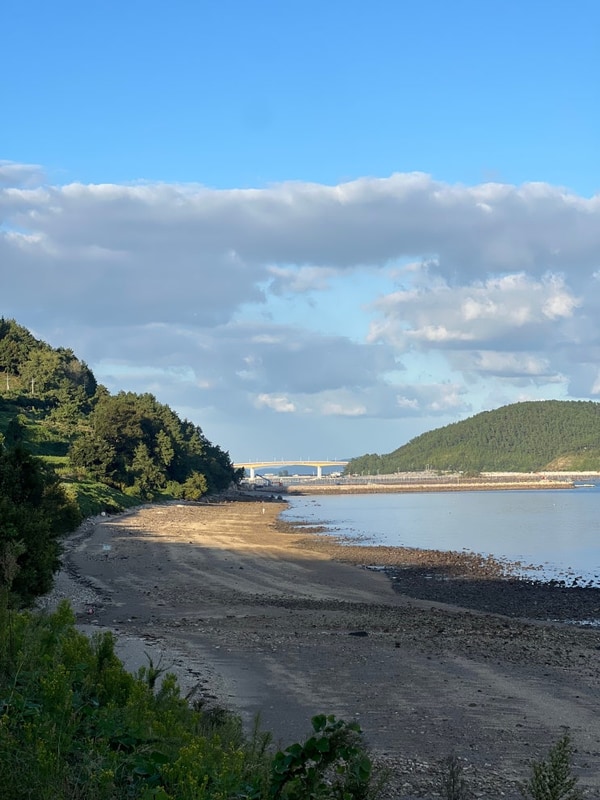 [장흥] 별빛밤바다캠핑장 | 오션뷰캠핑장 | 갯벌캠핑장...