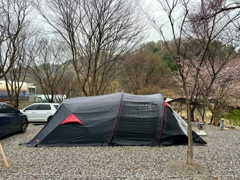 [아이랑 강아지랑] 경기도 가평 애견 동반 물소리캠핑장 파쇄석...