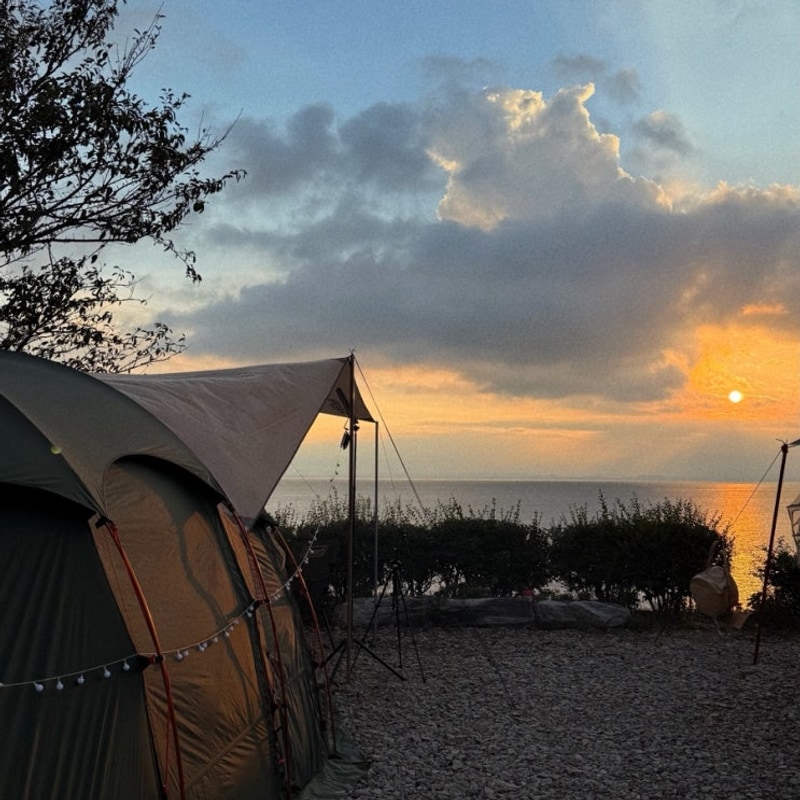 [화성/매향리] 화성 궁평항 근처 고온항 오션뷰 캠핑장...