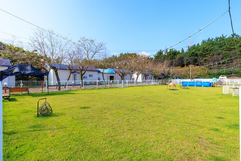 펫앤트리 시설 사진 10
