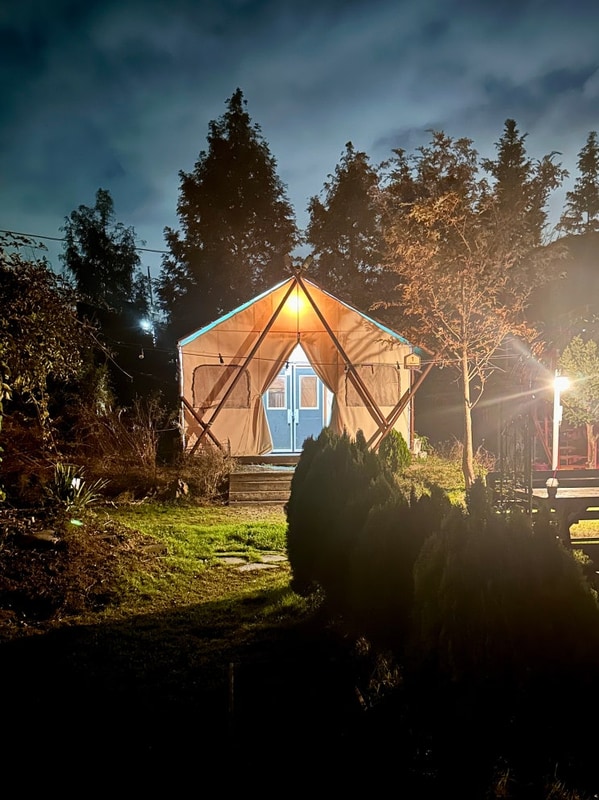 여자 셋이서 떠난 1박2일 충주여행 [애견 동반 팔봉글램핑...