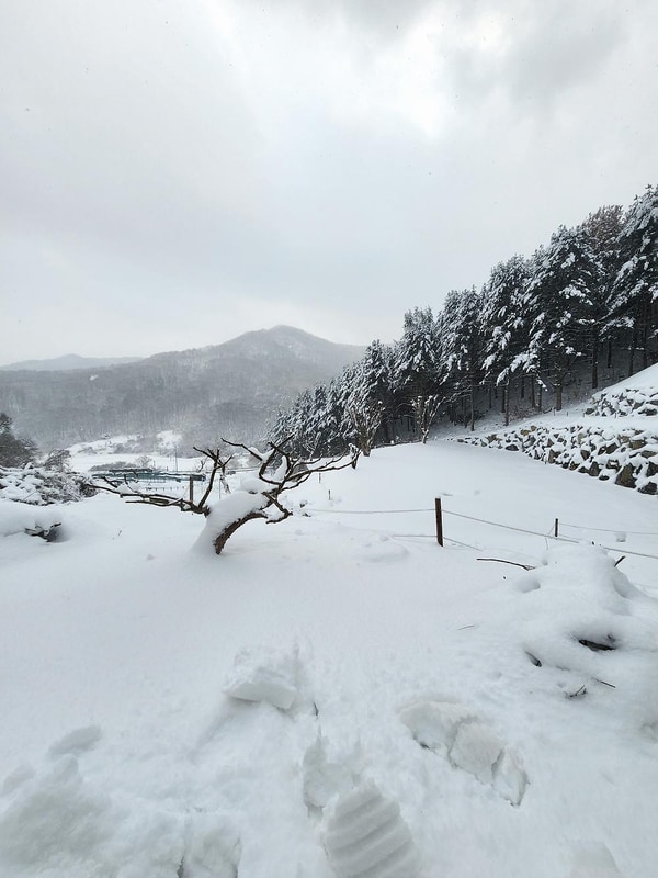 구릉지캠핑장 시설 사진 9
