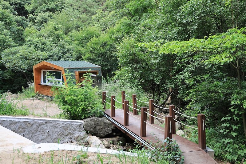 호명산잣나무숲속캠핑장 시설 사진 8