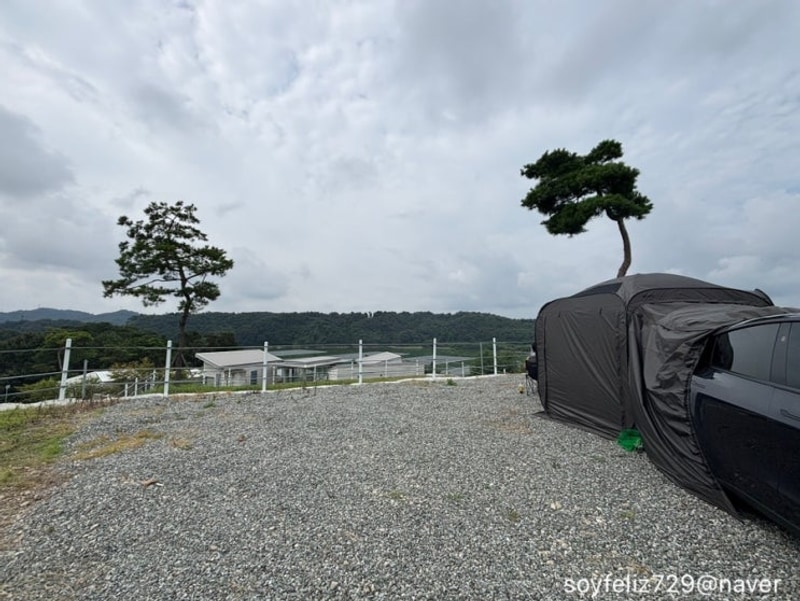 [캠핑-2] 청주 오창, 벨루아 캠핑장 테슬라 주니퍼 차박, 고양이...