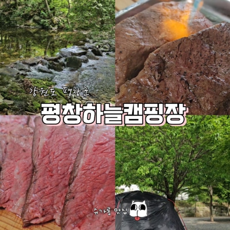 강원도 캠핑장 어디가 좋을까? 평창하늘캠핑장 솔직 후기
