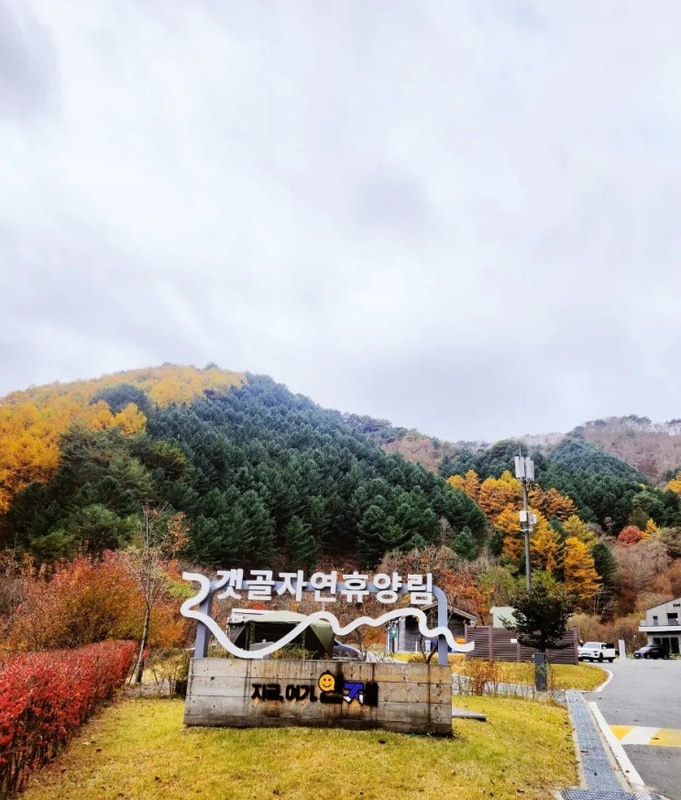 너무 예쁘고 넓은사이트를 가진 인제 갯골휴양림야영장(B02)