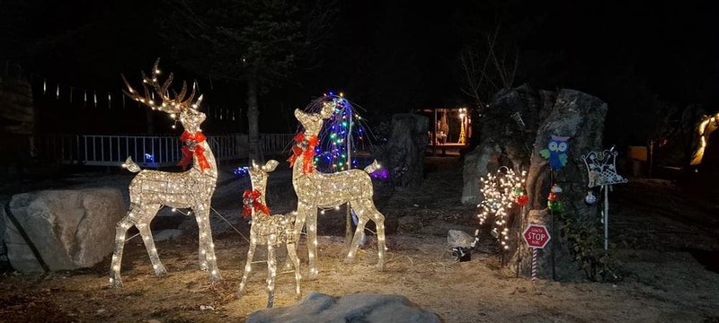 파인트리캠핑장 시설 사진 14