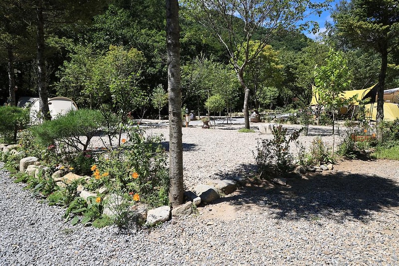 평창자연속쉼표캡핑장 시설 사진 2