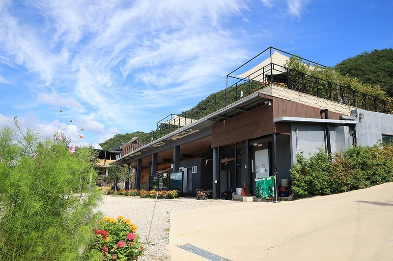 러빙네이쳐 시설 사진 11