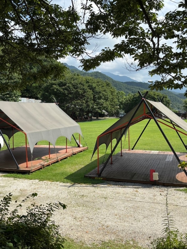 아이들천국! 포천 넓은마당 캠핑장 2박 14번 타프존