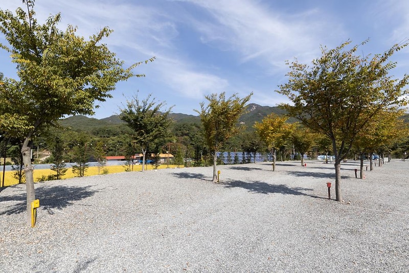 속리산365캠핑장 시설 사진 13