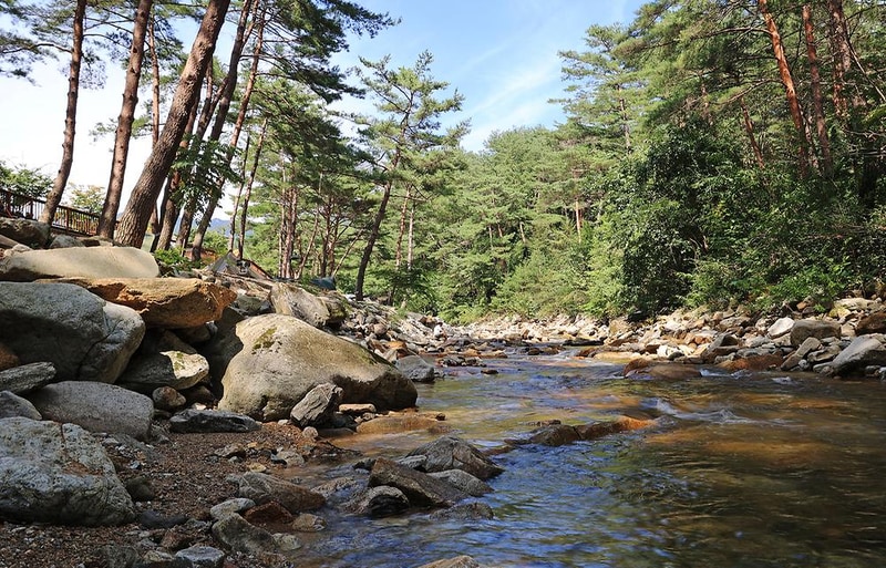 캠프 오어즈 시설 사진 11