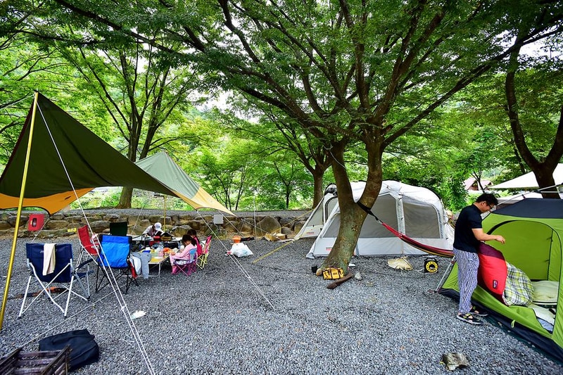 밀양표충오토캠핑장 시설 사진 9