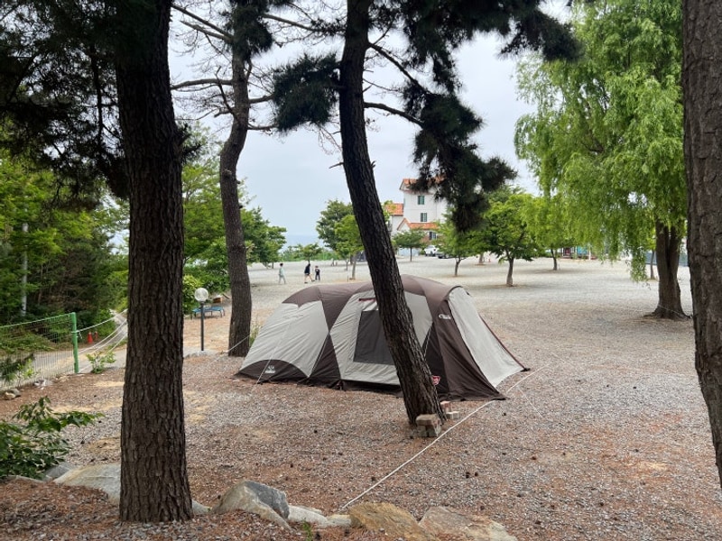 강원도 동해 일출 오션뷰 캠핑장 아름다운캠프 2박3일 캠핑일지