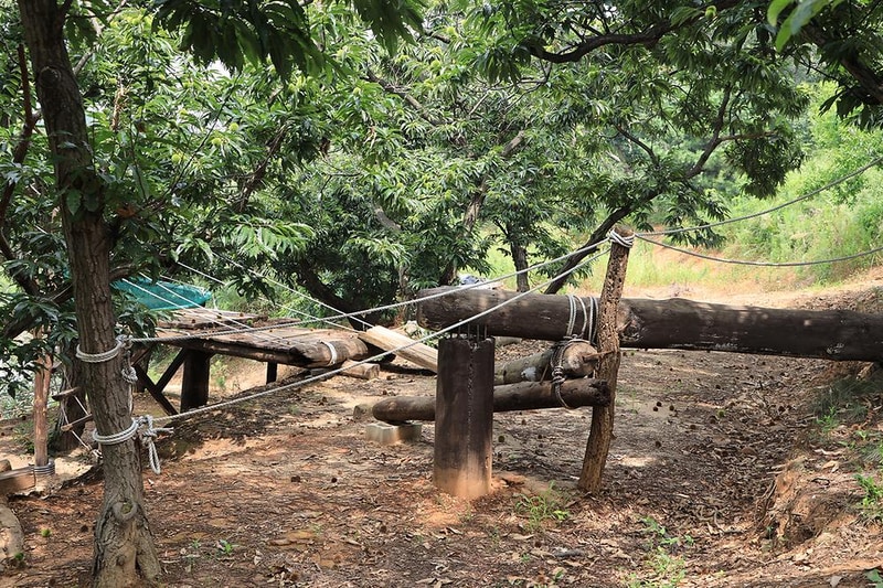 고래숲관광농원 시설 사진 3