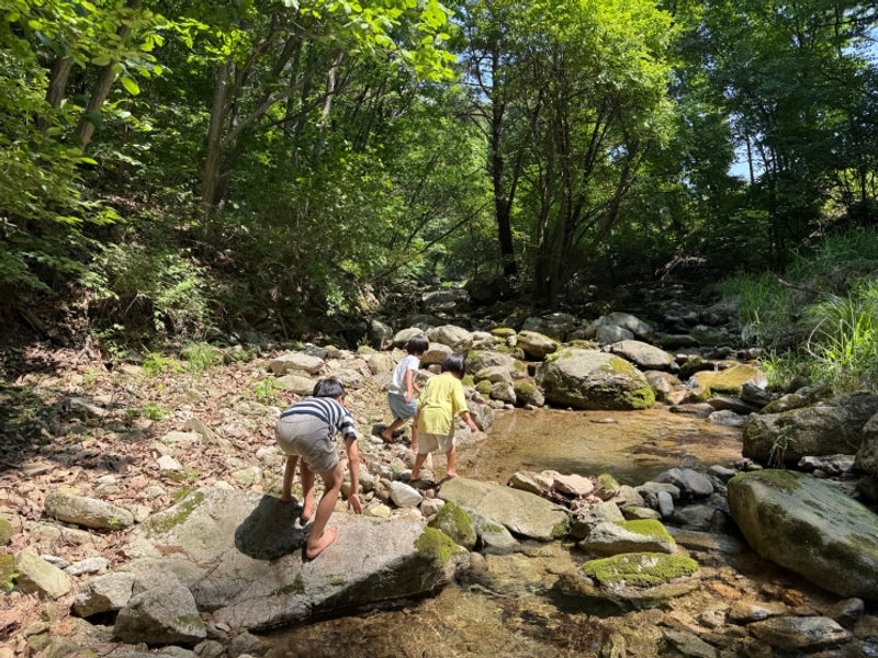 [2025.06] 포천 각흘계곡 캠핑장