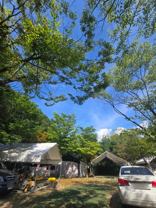 31일-8월2일] 원주근처 계곡과 수영장이 있는 강원도힐링캠핑장