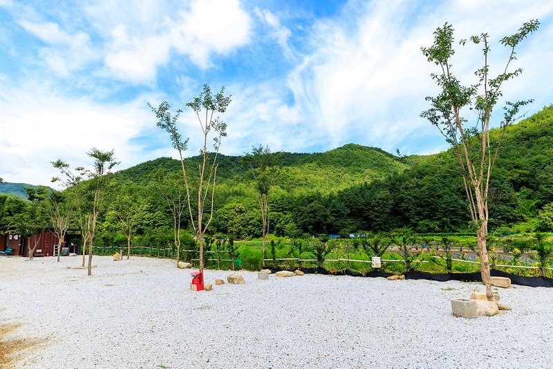 양지뜰캠핑장 시설 사진 11