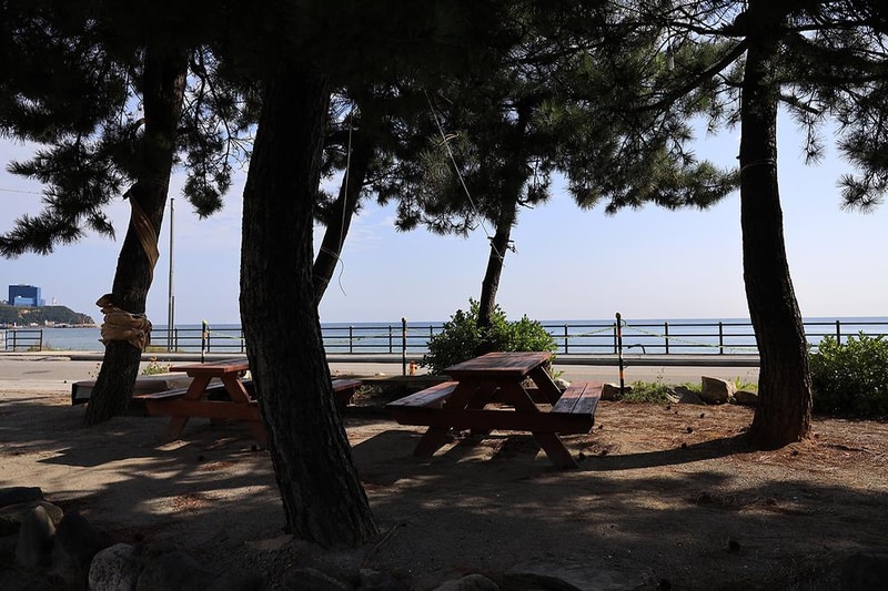 강릉 금진리321카라반 시설 사진 4