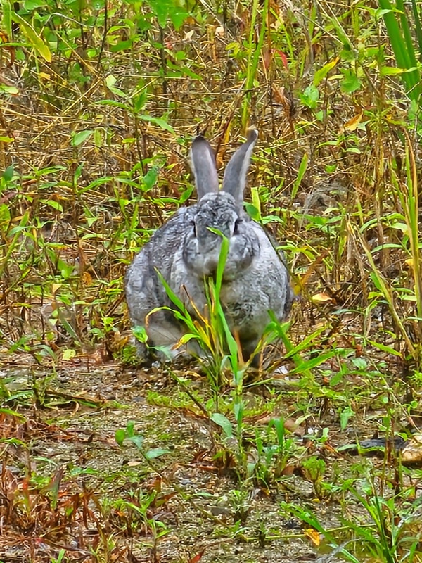 덕동리 301 캠핑장 후기｜계곡 바로 앞 힐링 캠핑