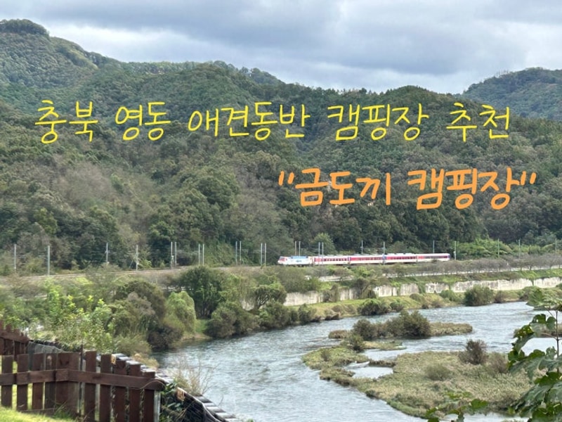 충북 영동 애견 동반 캠핑장 추천 "금도끼 캠핑장" / 금강 뷰가...