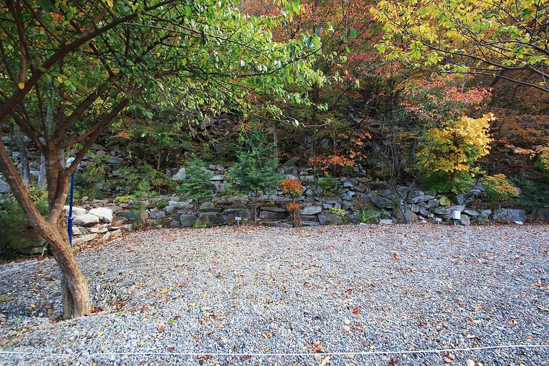 월계수 캠핑장 시설 사진 11