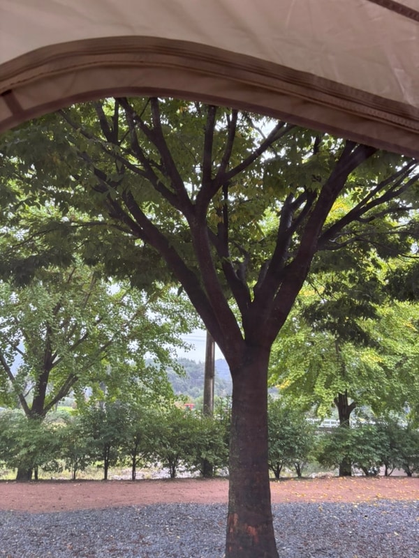 문경 계곡뷰 캠핑장 [해바라기 캠핑장] A-7,A-8 사이트 가을 캠핑